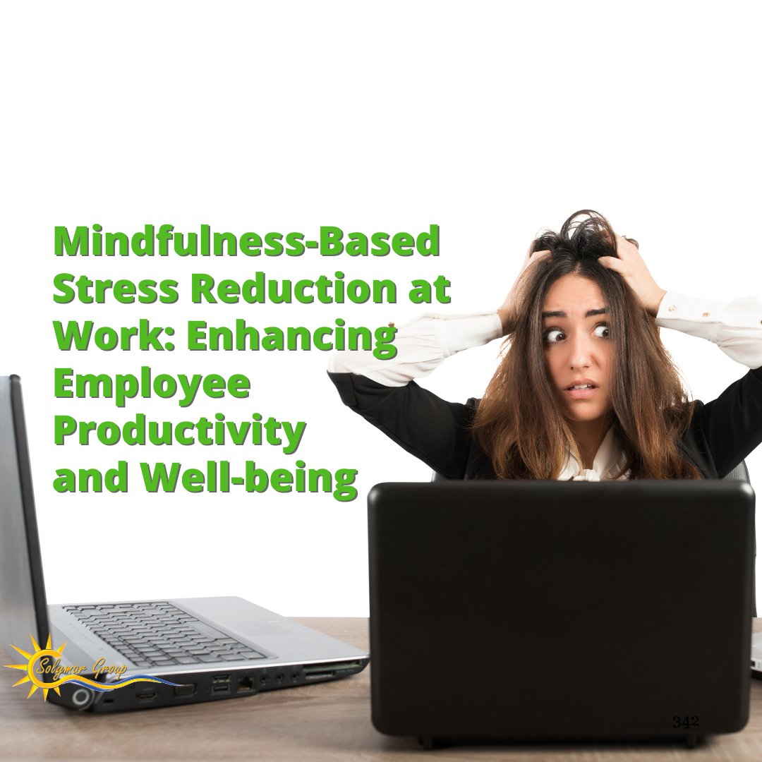 Mindfulness-Based Stress Reduction at Work: Enhancing Employee Productivity and Well-being